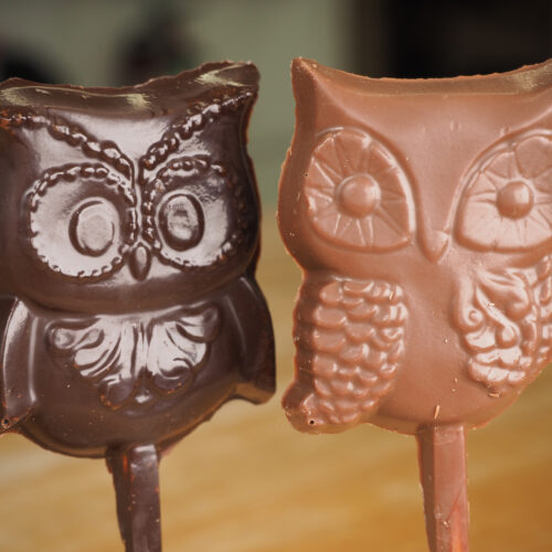 Duo Suçon hibou noir et au lait