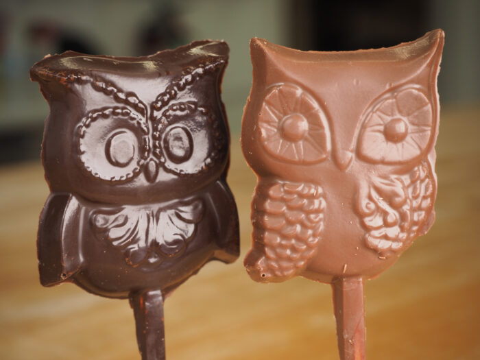 Duo Suçon hibou noir et au lait